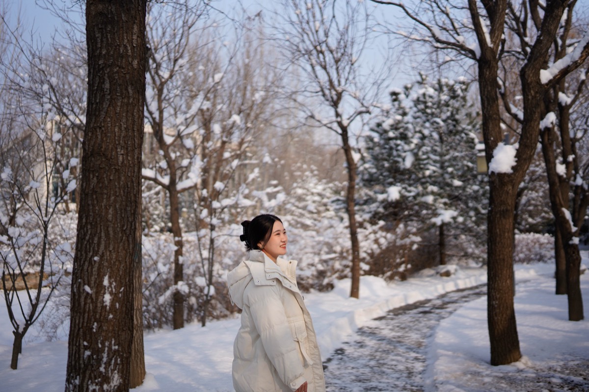 雪后园林里的冬日肖像