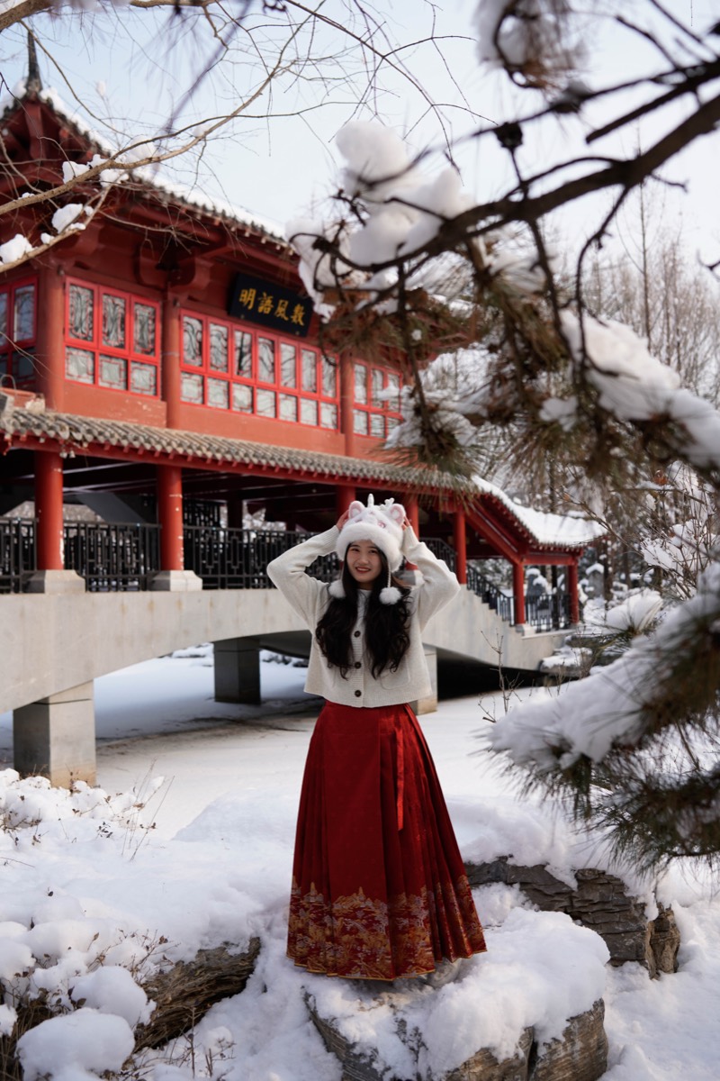 雪后园林 预览 2