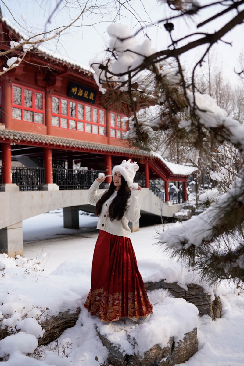 雪后园林 预览 3