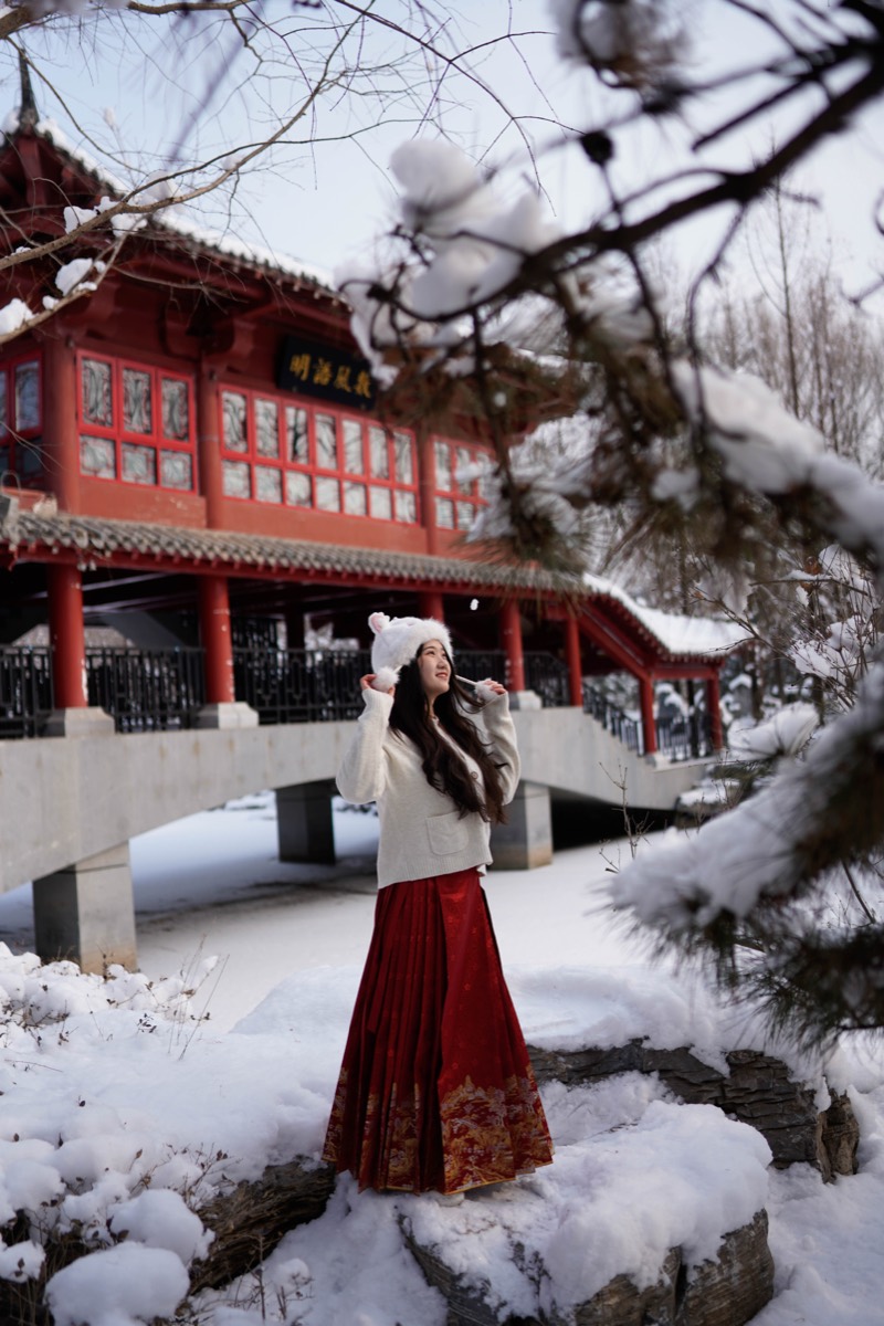 雪后园林 预览 4