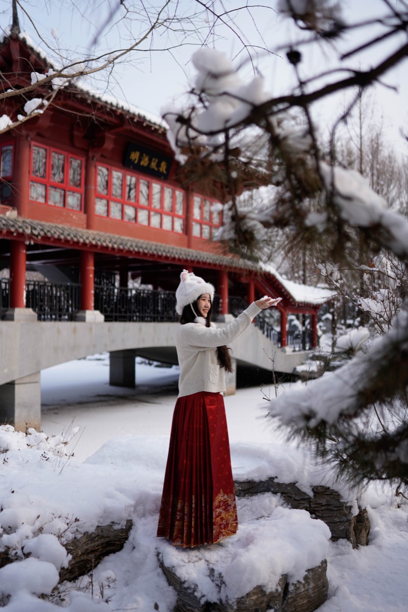 雪后园林 预览 5