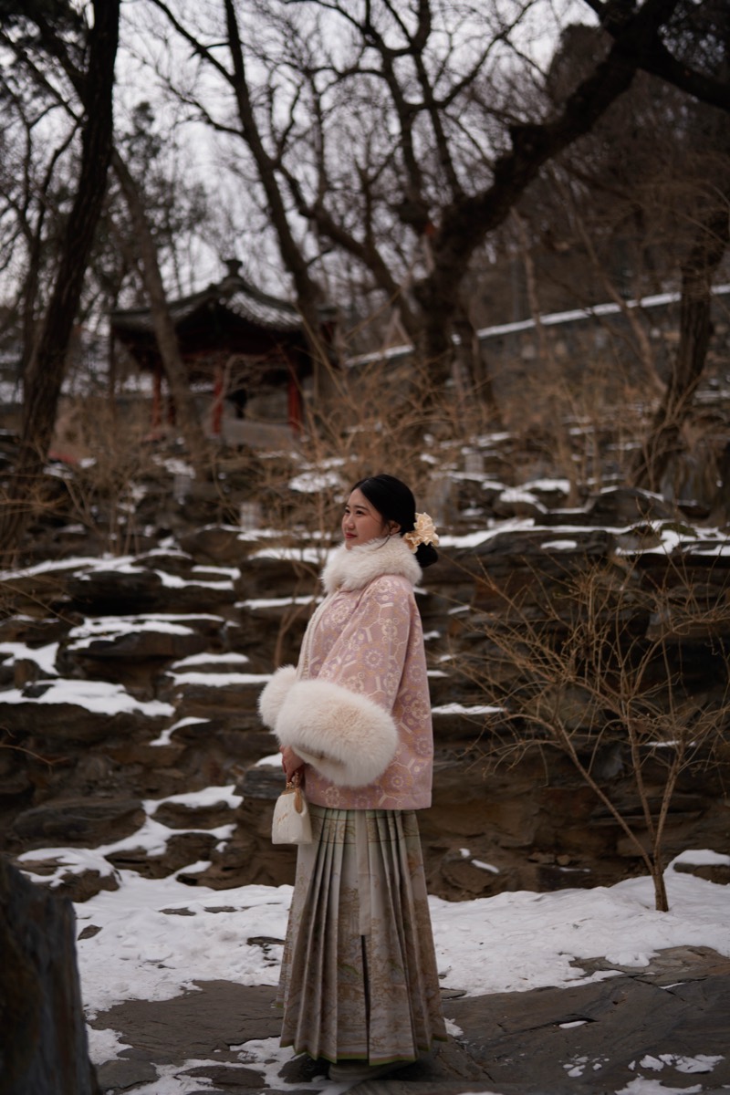雪后园林：雪后园林 06