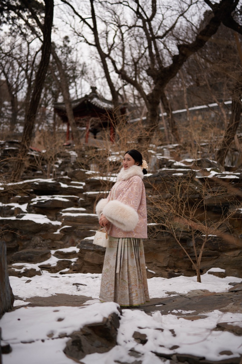 雪后园林 预览 7