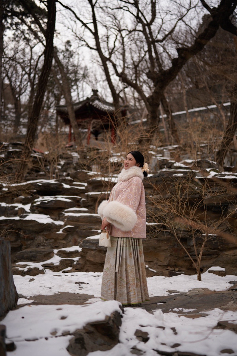 雪后园林 预览 8