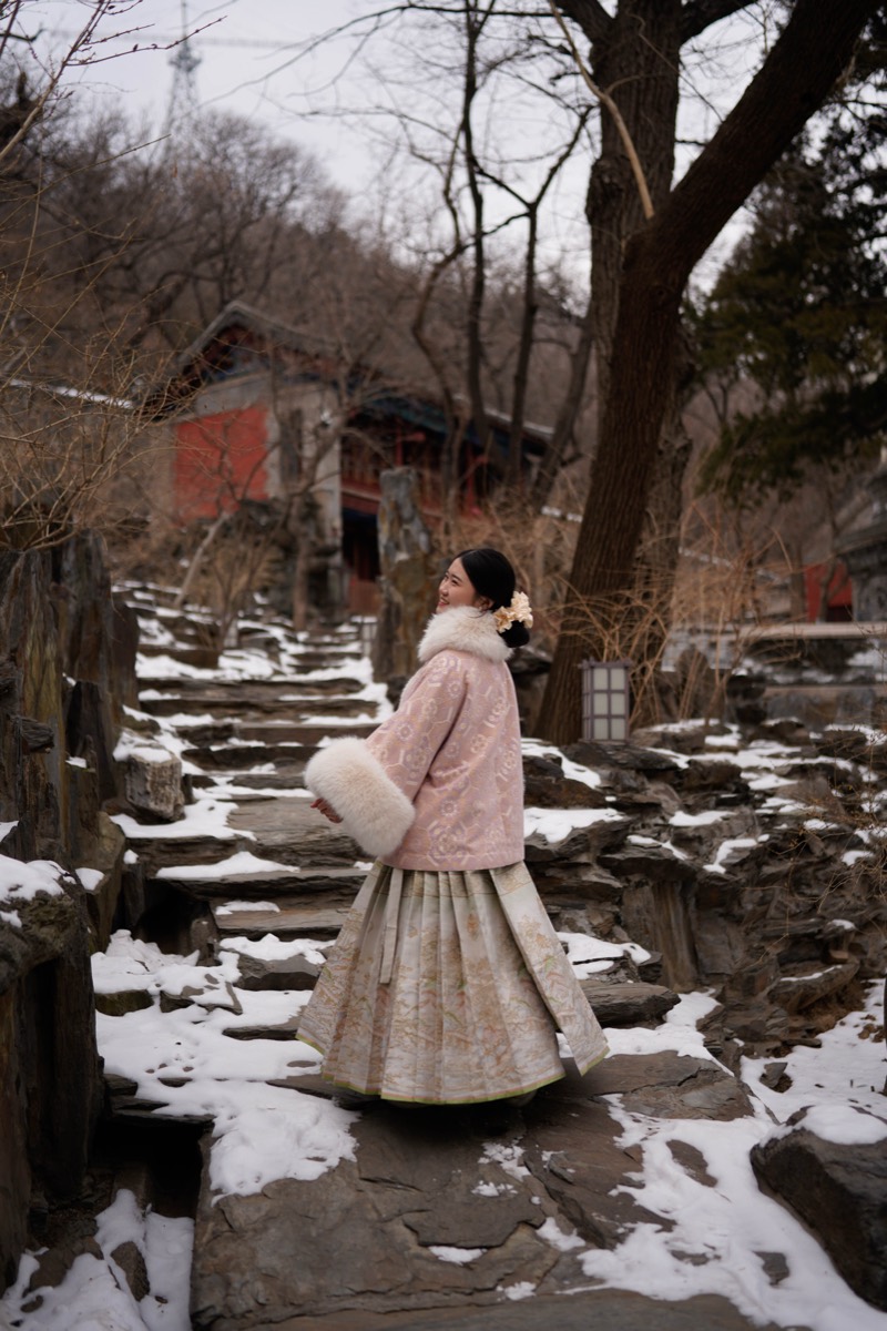 雪后园林：雪后园林 09