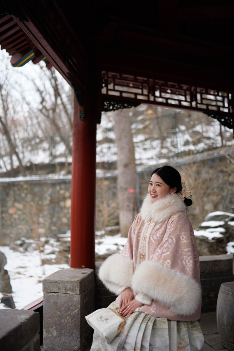 雪后园林 预览 10
