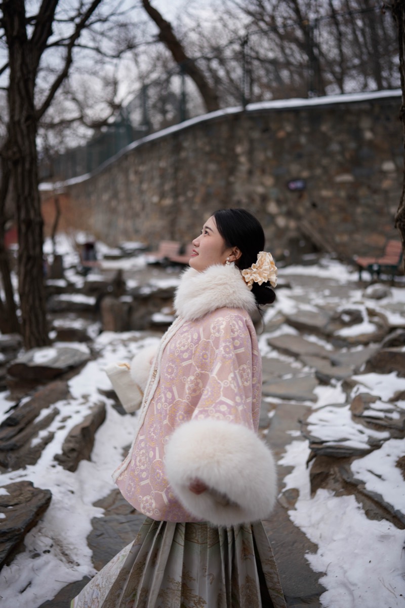 雪后园林 11