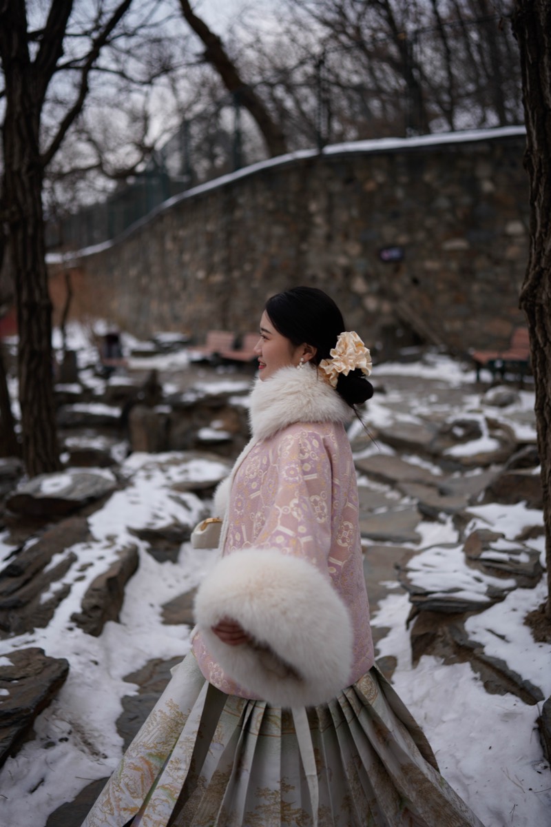 雪后园林 12