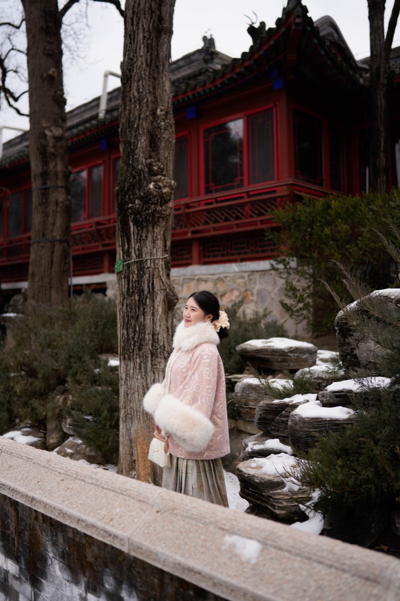 雪后园林：雪后园林 13